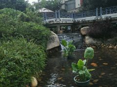 -江门古兜温泉小镇