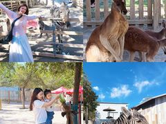 -水上乐园·欢乐世界