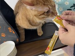 -美联众合动物医院·24h京西诊疗中心