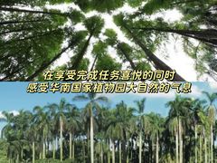-中国科学院华南植物园