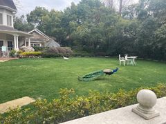 -J Create城市露营咖啡·简餐·宠物(上海动物园店)