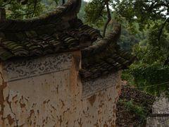-杨家堂村
