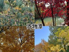 -Catail前苑(前门大街店)