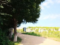 -北京张裕爱斐堡酒庄