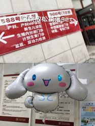 -复旦大学附属妇产科医院(黄浦院区)