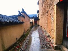 -杨家堂村