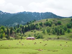 -新疆那拉提国家旅游度假区
