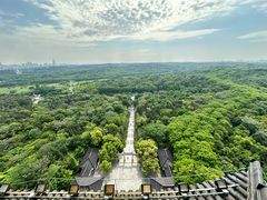 -宜兴龙背山森林公园