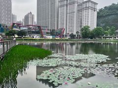 -花果园湿地公园