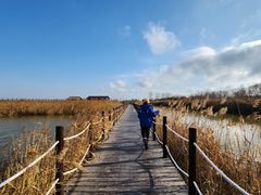-盐城丹顶鹤湿地生态旅游区
