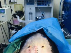 -康乐宝动物医院