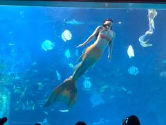 -太平洋海底世界博览馆·展览厅
