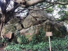 -宋井风景区