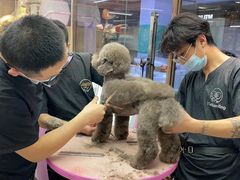 -FAELING PETS美天灵宠物(富力广场店)