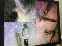 -章光101防脱养发荟