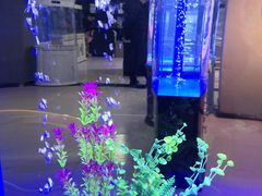 -秦美花卉(天朗·莱茵小城2期店)