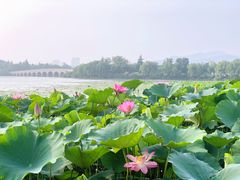 -云龙湖旅游景区