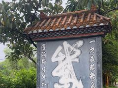 -靖西鹅泉风景区