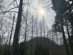 -青城山