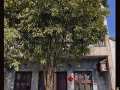 -乌村