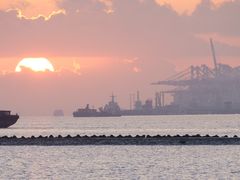 -上海吴淞炮台湾国家湿地公园