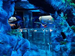 -陕西自然博物馆