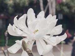 -经纬广场