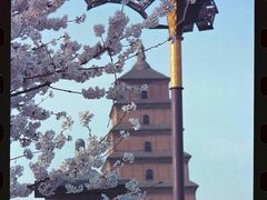 -大雁塔北广场音乐喷泉