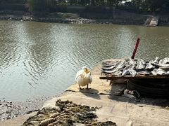 -黄埔古港
