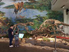 -自贡恐龙博物馆