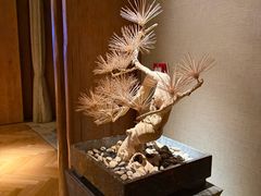 -浅深(北京北四环精品店)