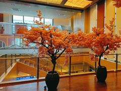 -极乐汤(川沙店)