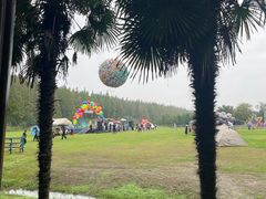 -黄海国家森林公园