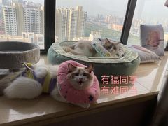 -美联众合24小时·皮肤科·外科·全科诊疗中心(华苑分院)