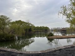 -溱湖国家湿地公园