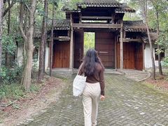 -上海海湾国家森林公园