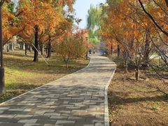 -元大都城垣遗址公园