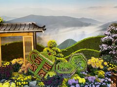 -杭州植物园