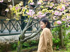 -庐山风景区花径公园