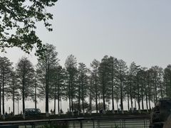 -东湖落雁景区