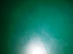 ，。。？-胜记烧鹅美食