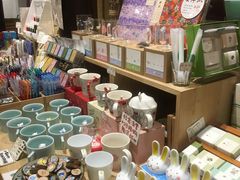 店内环境-猫的天空之城概念书店(杭州南宋御街店)