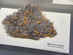 -重庆自然博物馆(新馆)