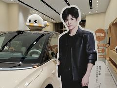 -理想汽车(世纪汇店)