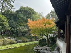 -秋霞圃