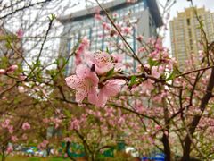 -青岛市图书馆
