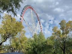 -哈尔滨文化公园