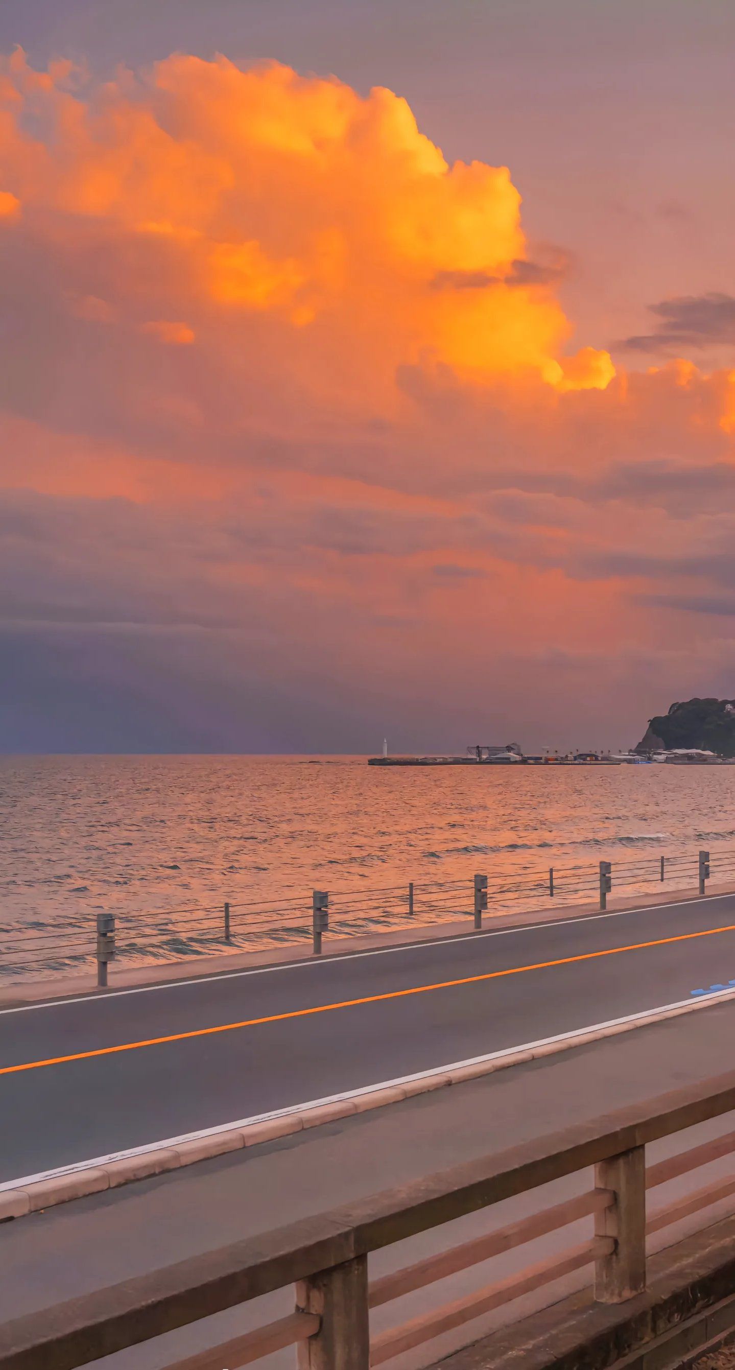 海边黄昏的自由飞鸟