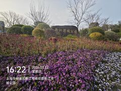 -新江湾城公园