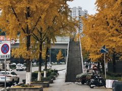 -龙头寺公园